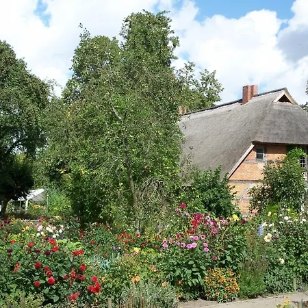 Irisgarten Am Pfarrgarten Starkow Lägenhet Velgast