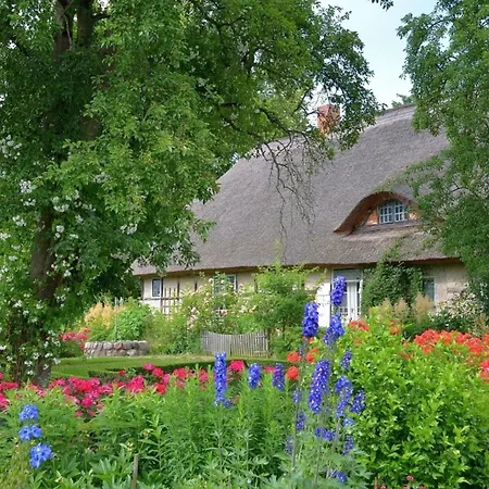 Irisgarten Am Pfarrgarten Starkow